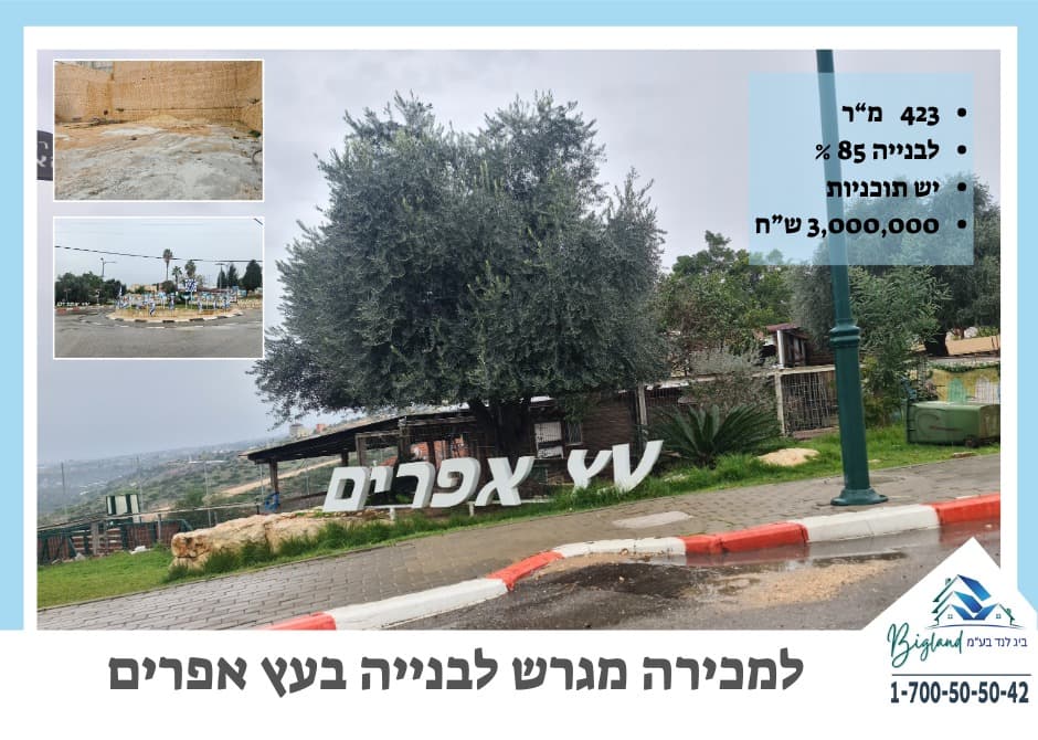 תמונה ראשית