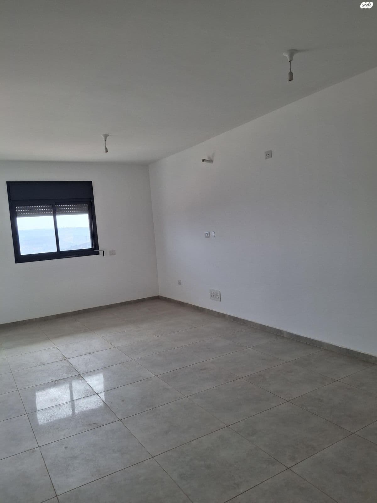 תמונת הדמיה ראשית