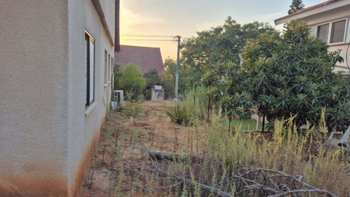 תמונת הדמיה שלישית