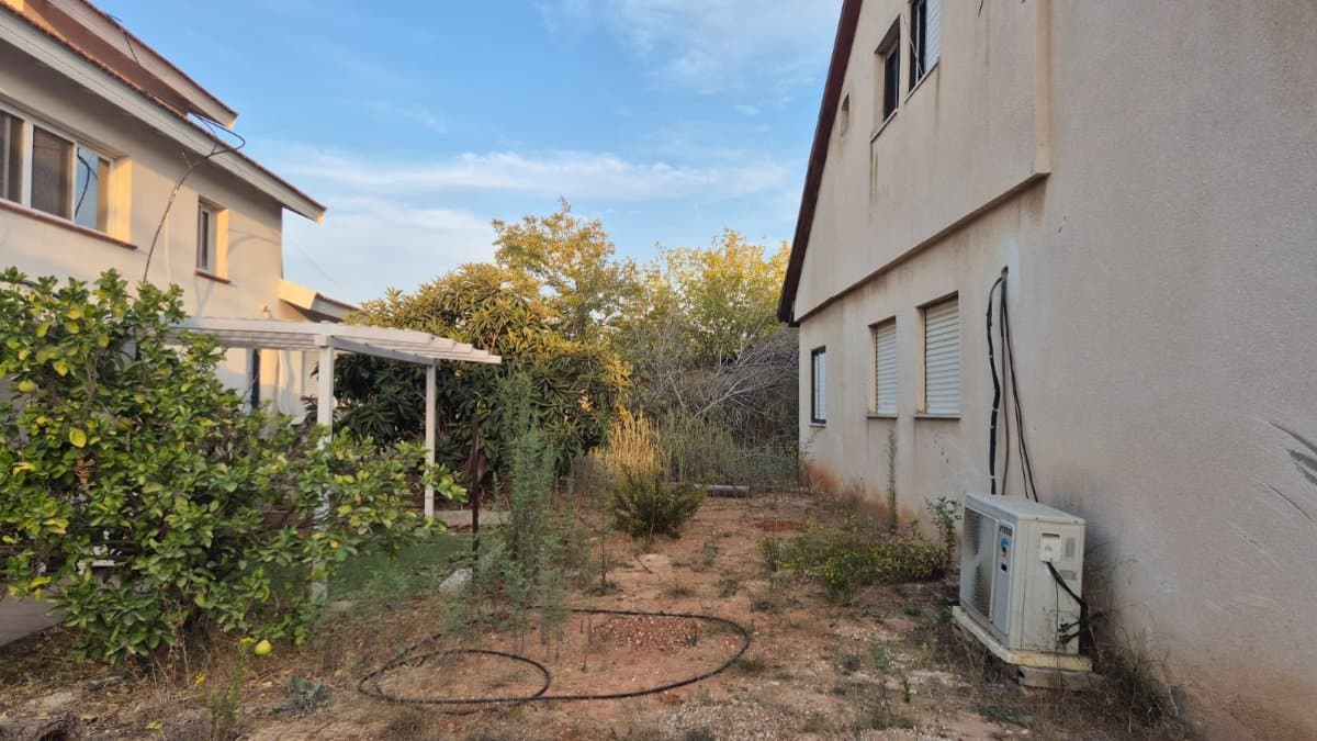 תמונת הדמיה שנייה