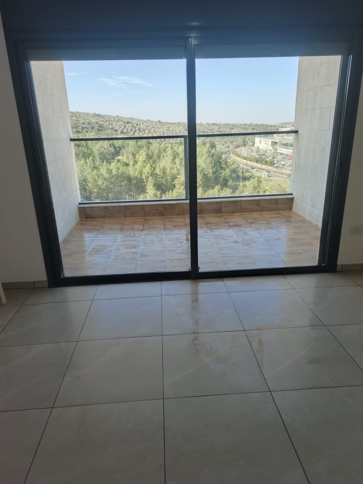 תמונת הדמיה שנייה