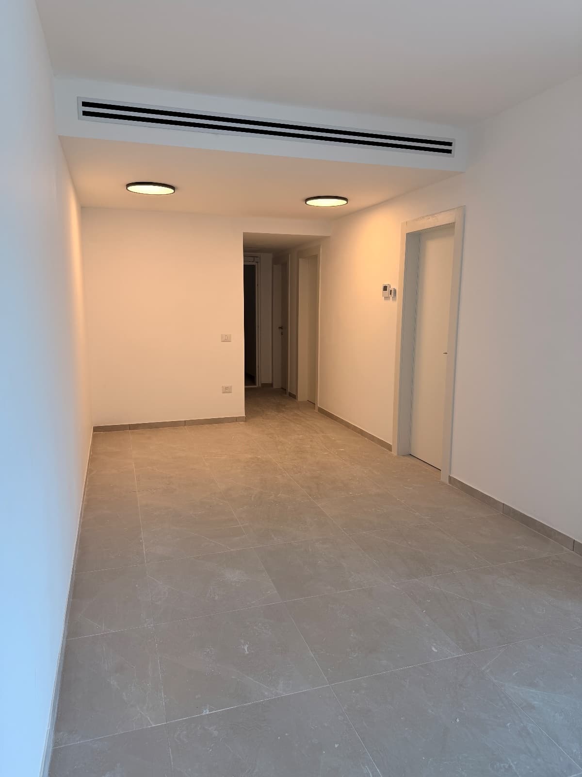 תמונת הדמיה ראשית