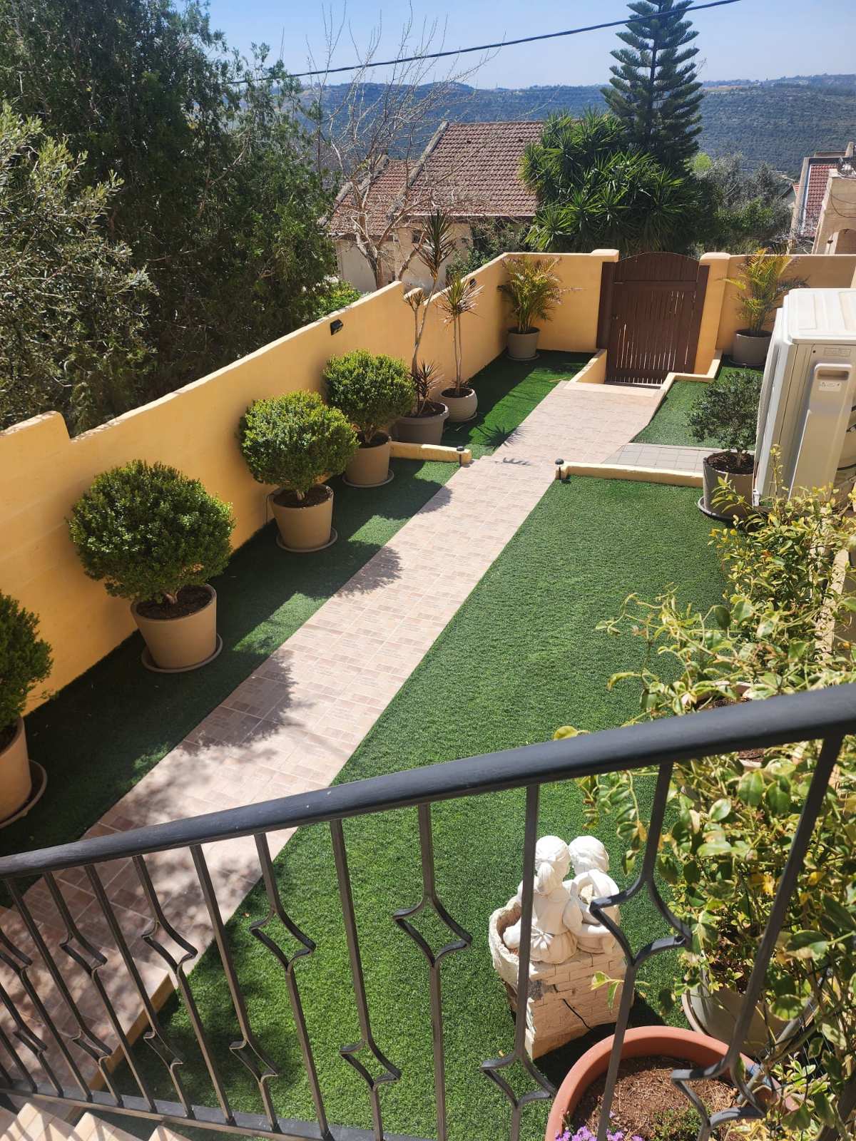 תמונת הדמיה ראשית