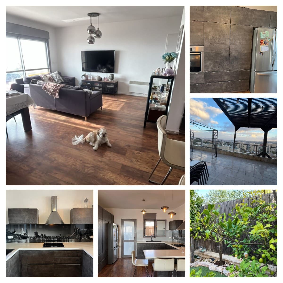 תמונת הדמיה ראשית