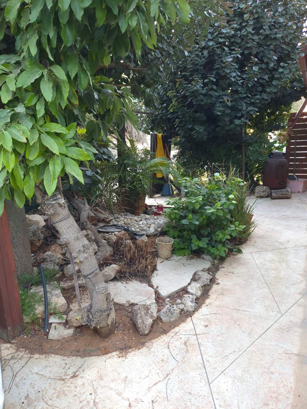 תמונת הדמיה שלישית