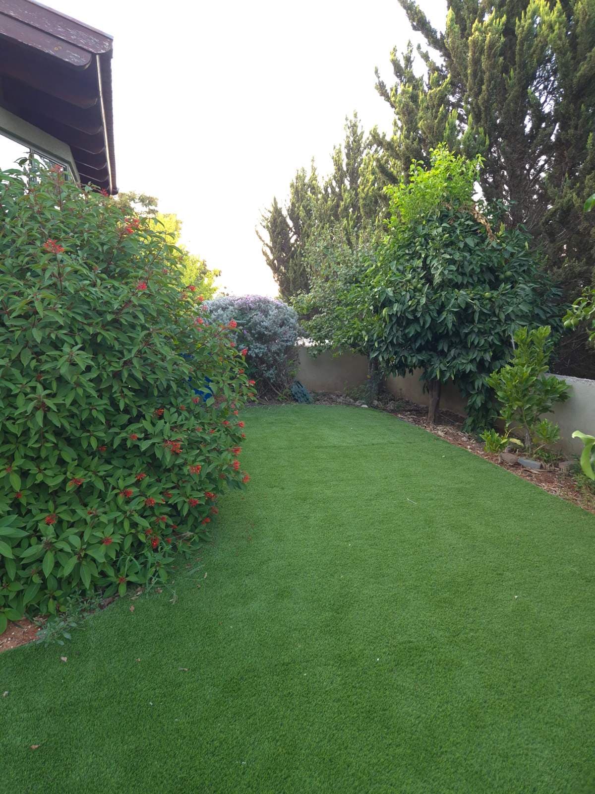 תמונת הדמיה שנייה