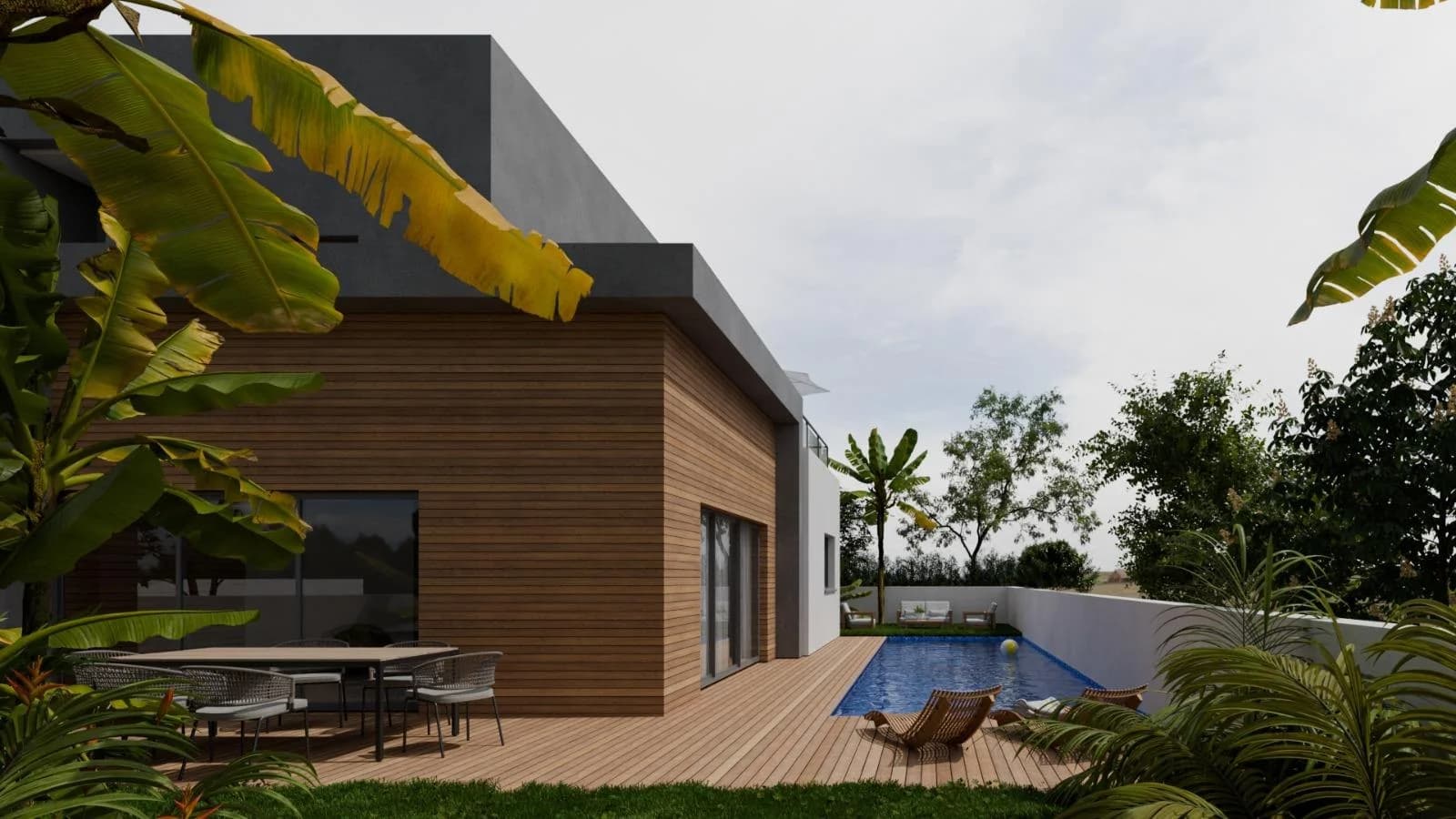 תמונת הדמיה ראשית