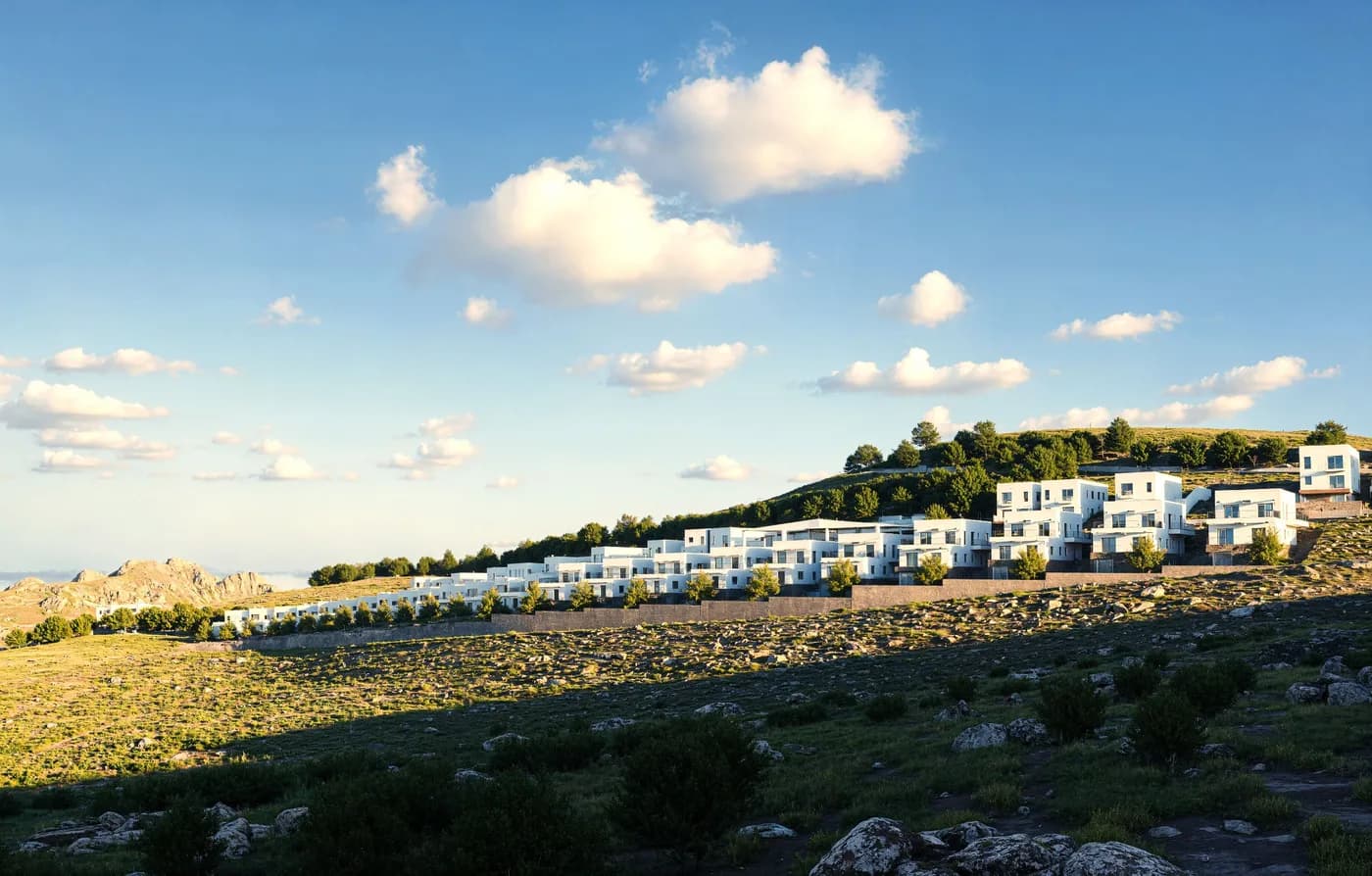 תמונת הדמיה שלישית