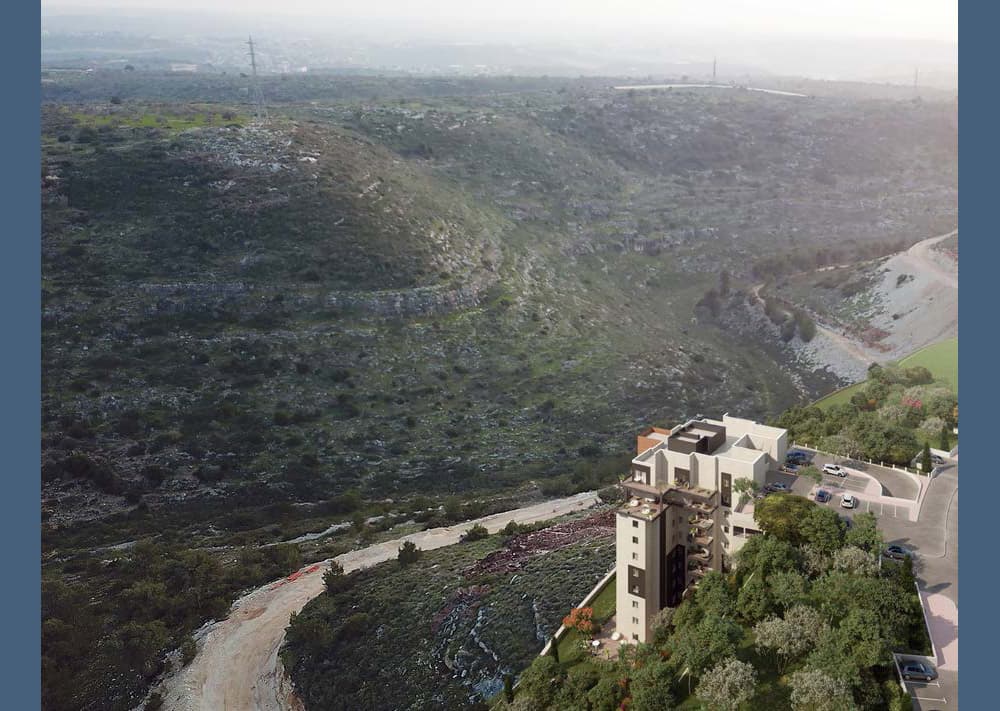 תמונת הדמיה שנייה