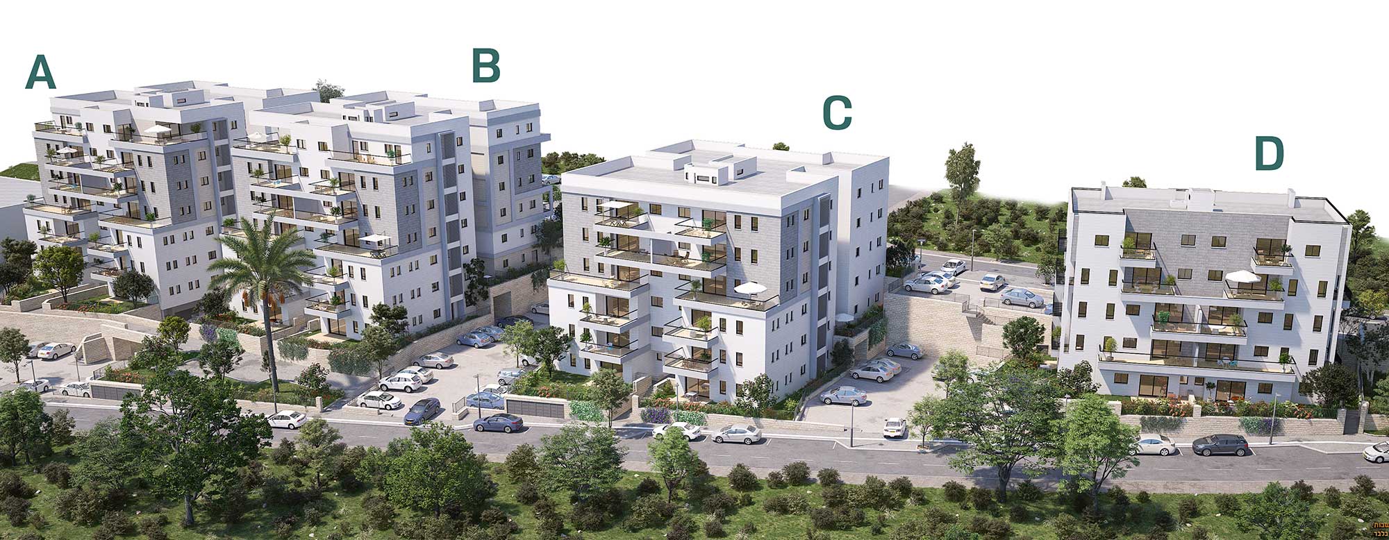 תמונת הדמיה שנייה