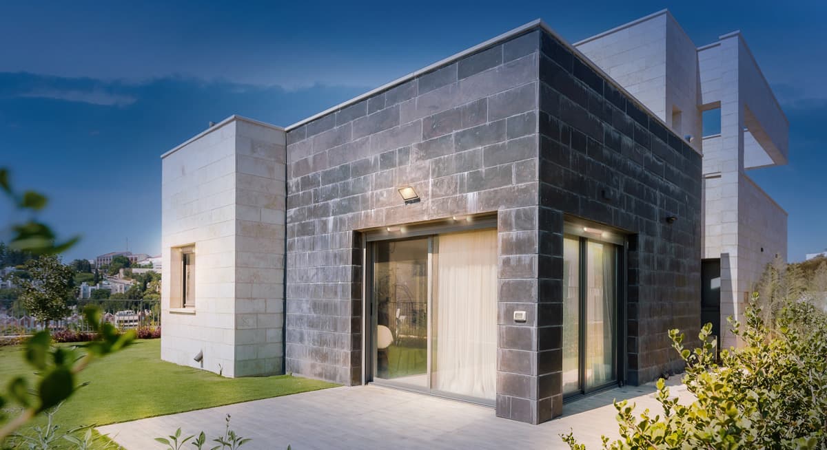 תמונת הדמיה ראשית