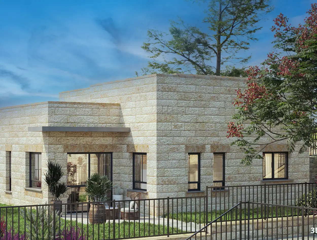 תמונת הדמיה ראשית