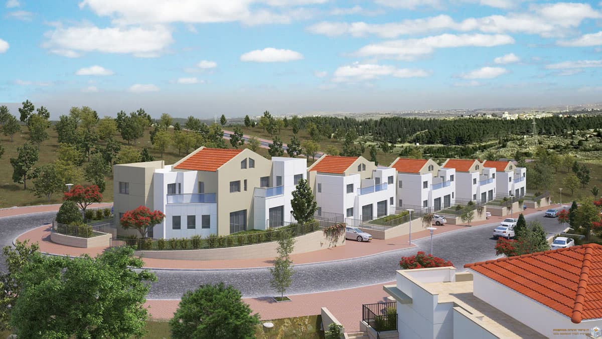 תמונת הדמיה ראשית