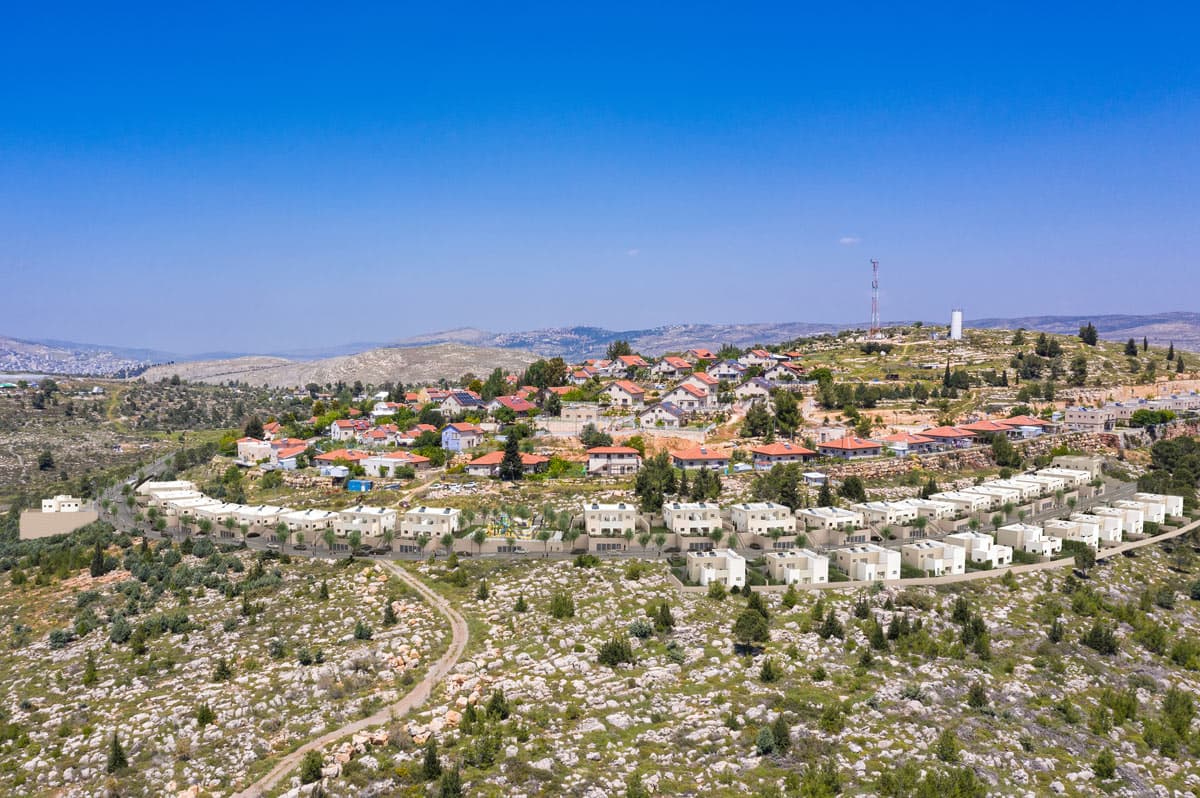 תמונת הדמיה ראשית