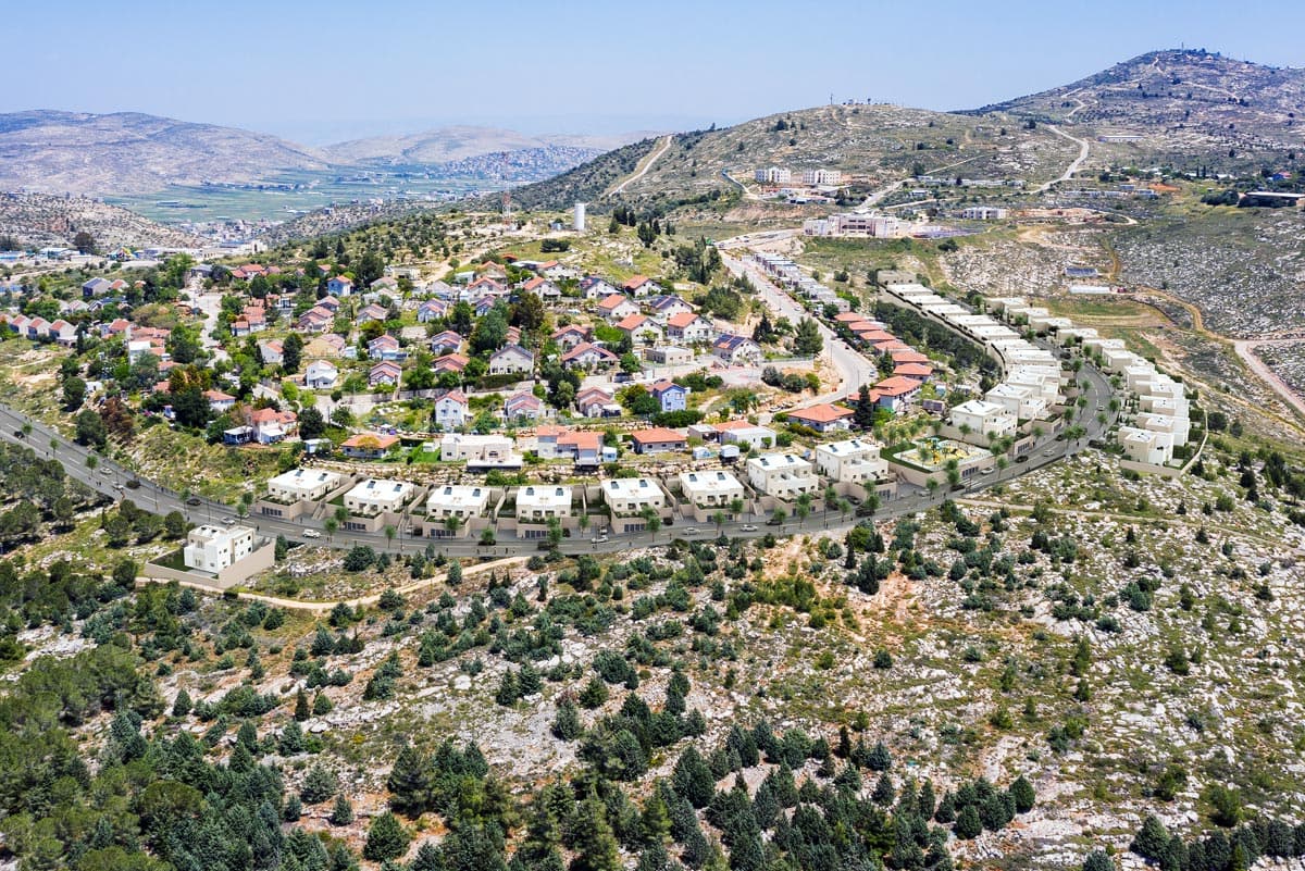 תמונה 13