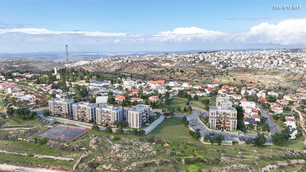 תמונה 7