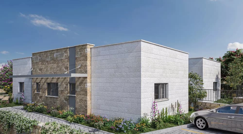 תמונת הדמיה שנייה