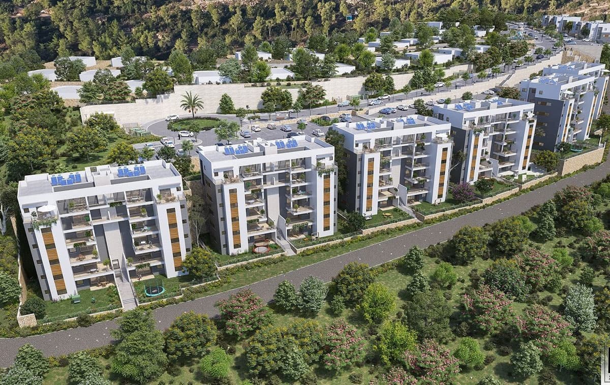 תמונת הדמיה ראשית