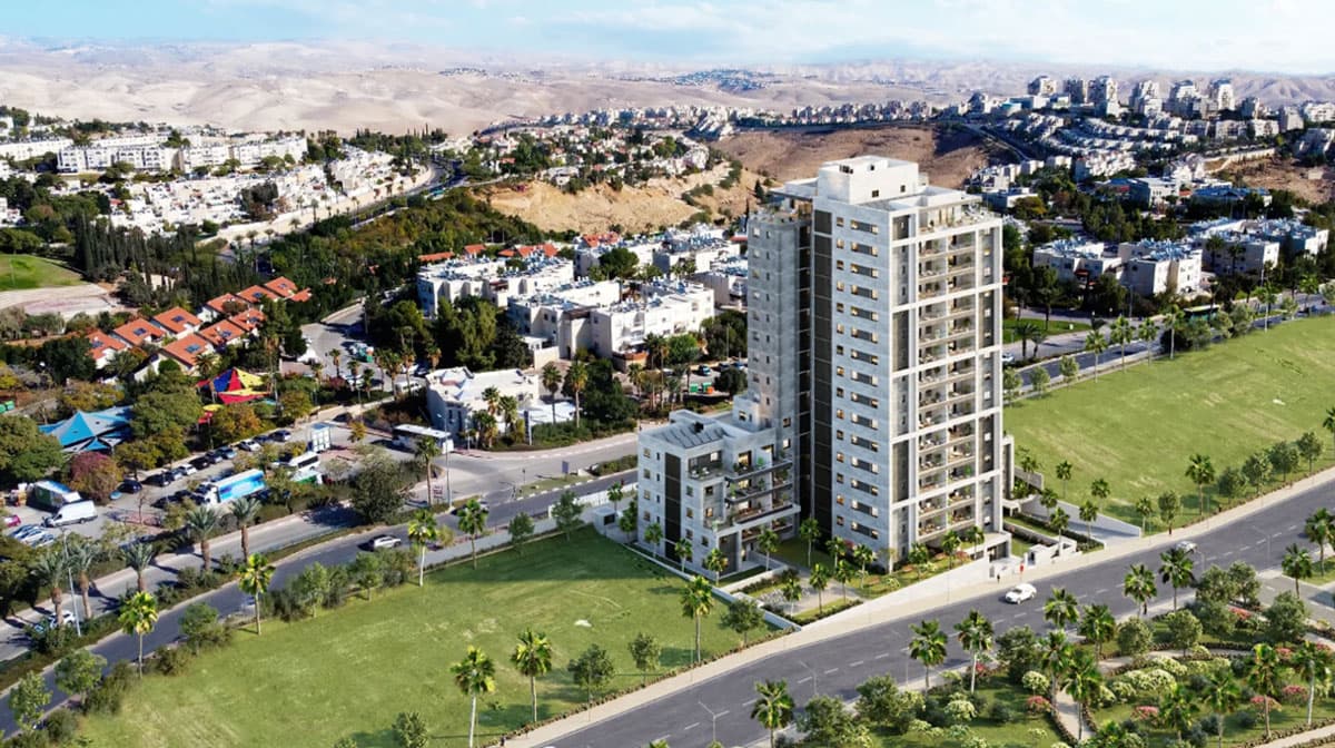 תמונת הדמיה ראשית