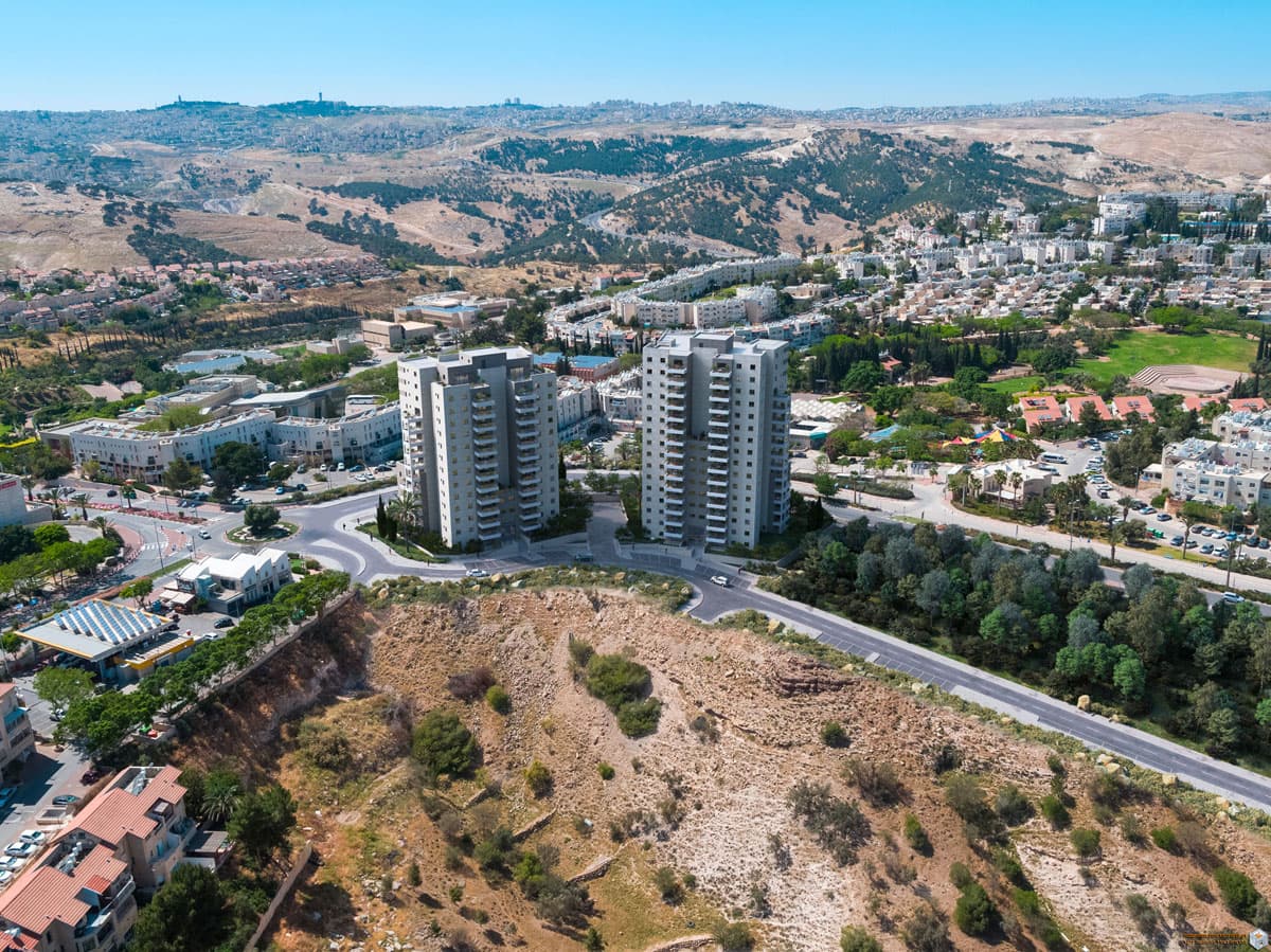 תמונת הדמיה שנייה