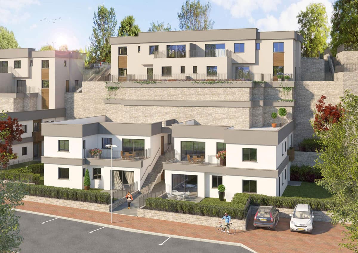 תמונת הדמיה ראשית