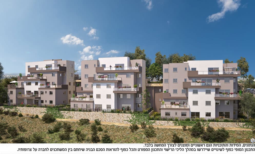 תמונת הדמיה ראשית